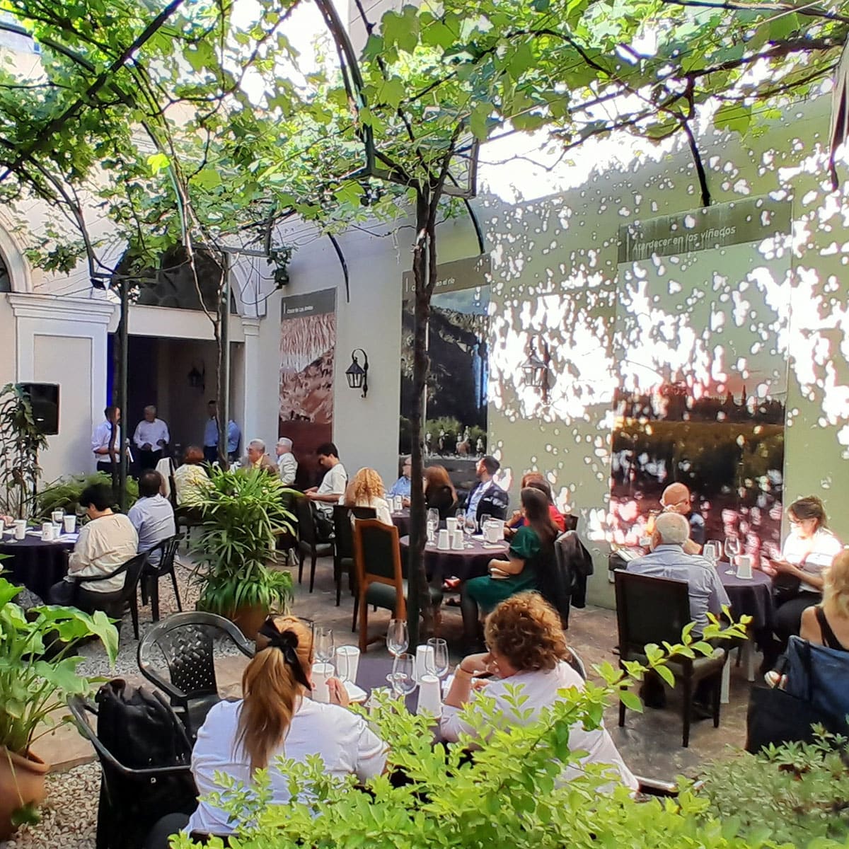 Degustación de los premiados en la Cata San Juan 2024